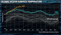 Global ocean surface temperature 1981-2023